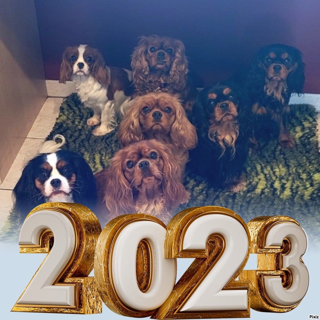 Année 2023