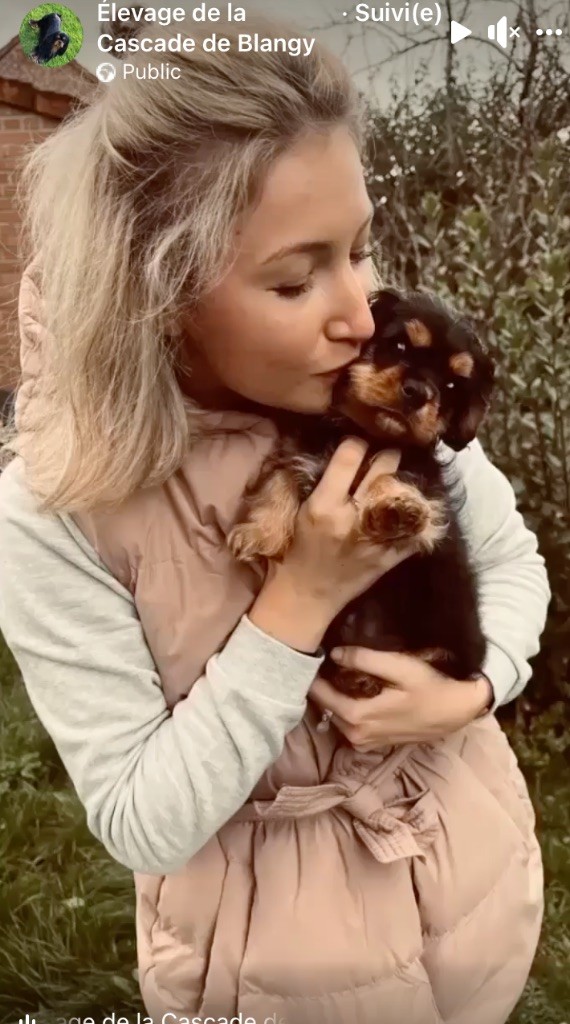 Nos adoptions 